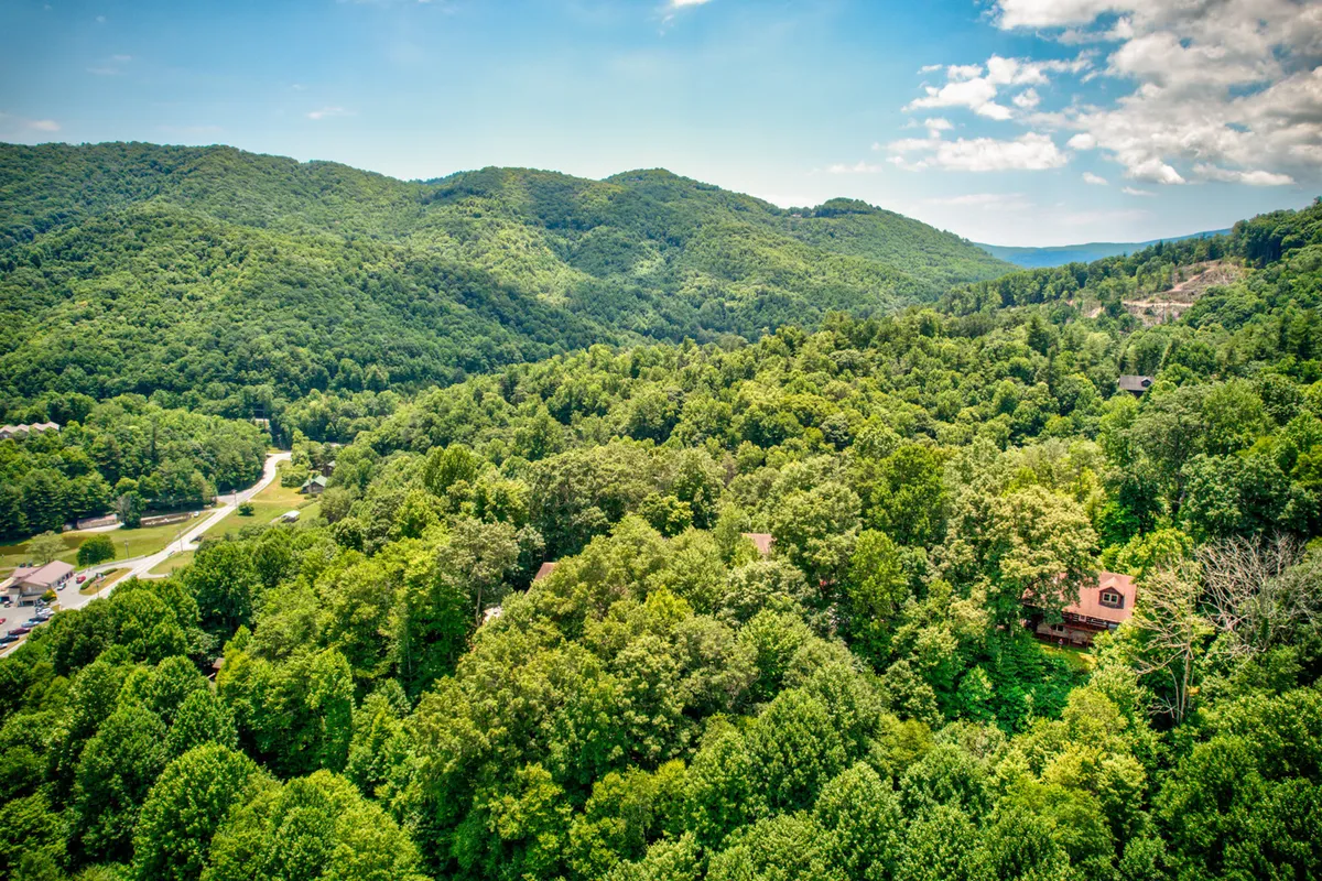 A breathtaking panoramic view of lush green forests, distant mountains, and scattered homes. The vista is expansive, offering a sense of peace and remoteness, and encourages exploration of the surrounding landscape.