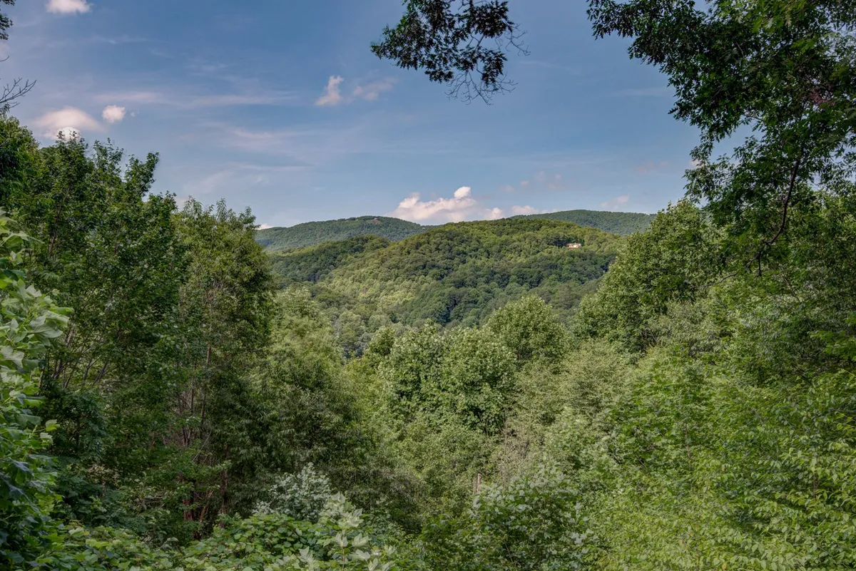 A sweeping view of lush green trees and rolling hills under a bright blue sky with fluffy clouds. The vista evokes the expansive natural setting of the region, perfect for hiking, mountain biking, and outdoor adventures.