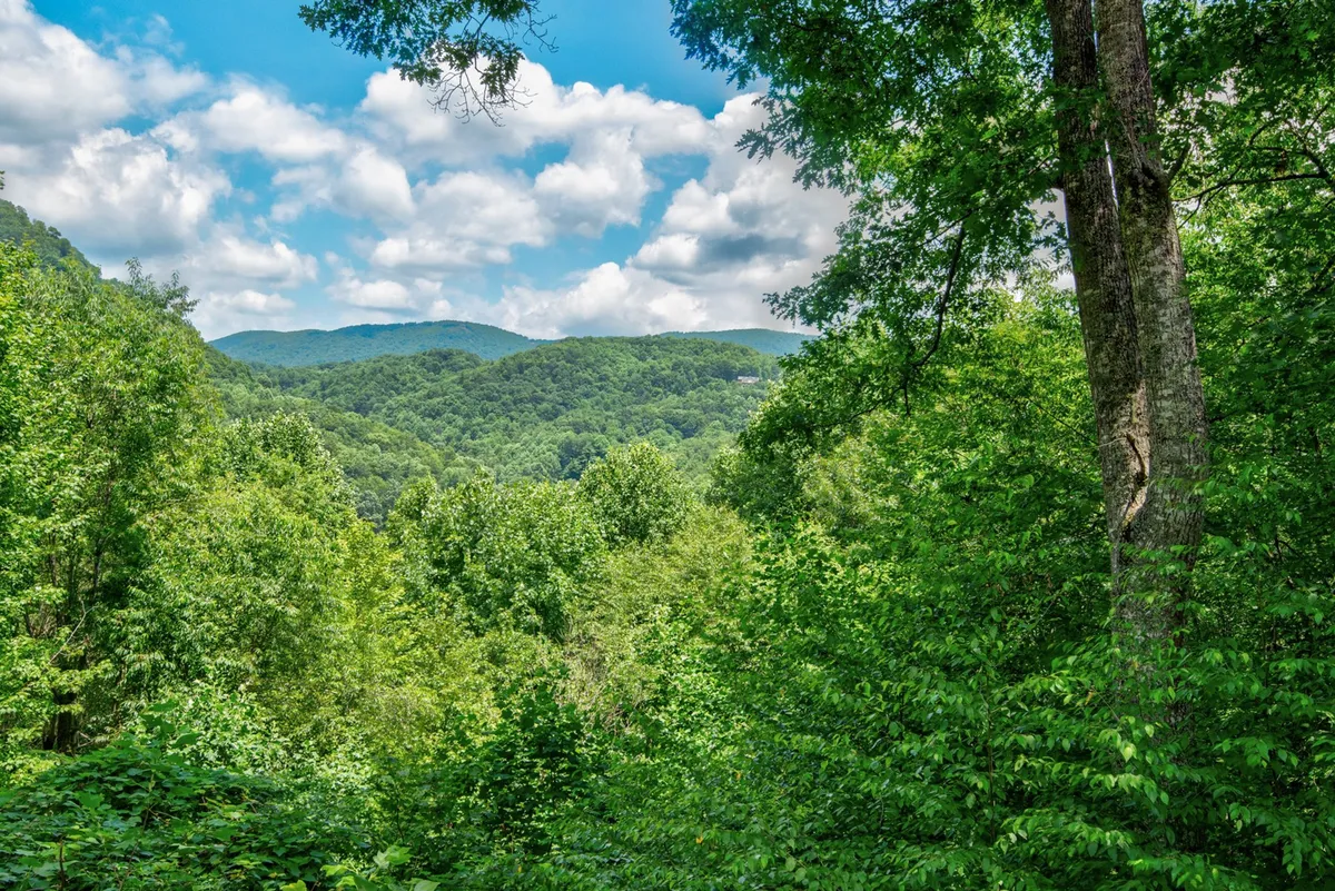 A panoramic vista featuring distant mountains, lush green trees, and a blue sky dotted with clouds. The scene evokes the wide-open, natural environment families can explore during their stay.