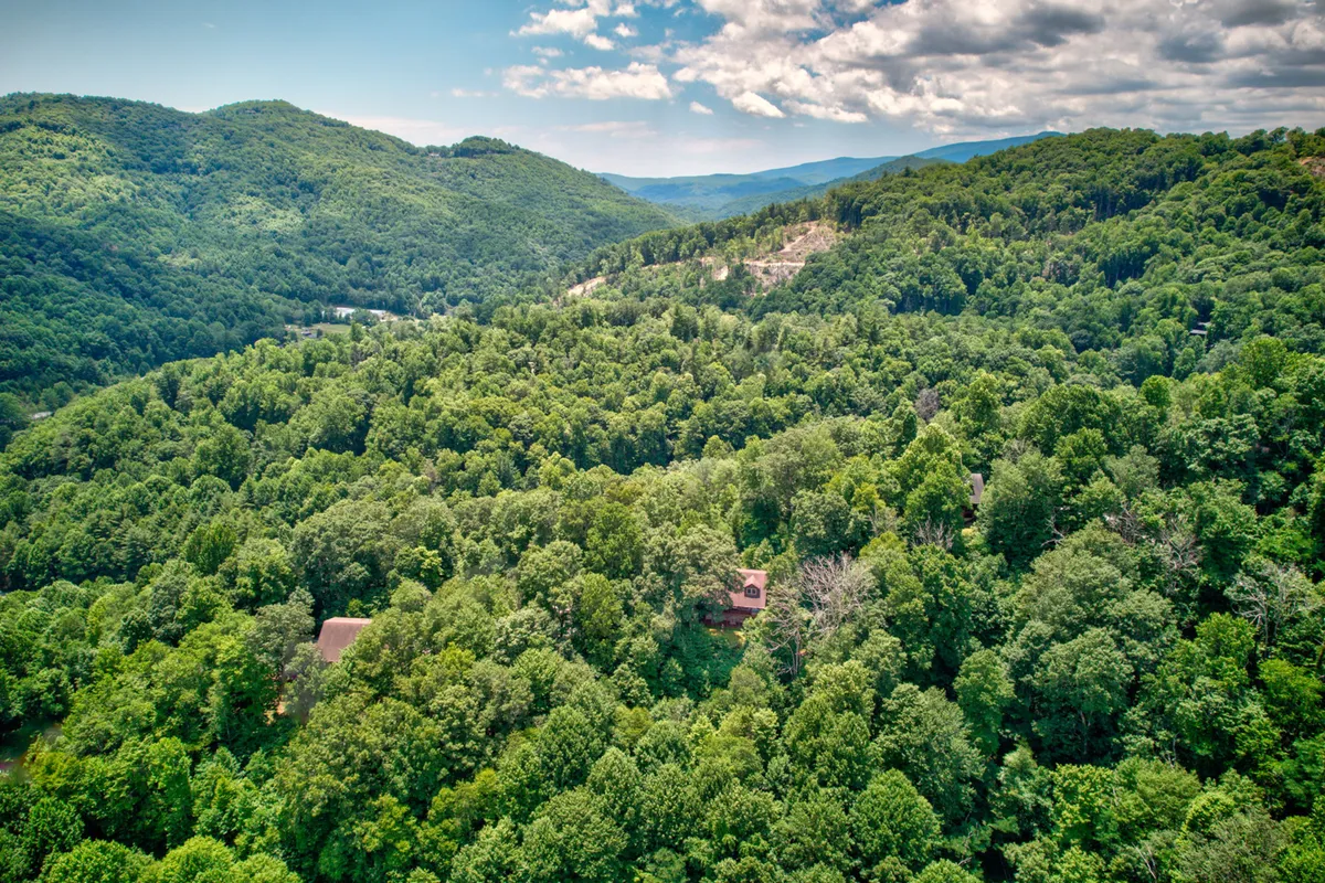 A scenic view of expansive forests and distant mountains, with scattered homes dotting the landscape. The setting captures the tranquil beauty and sense of retreat offered by the property’s location.