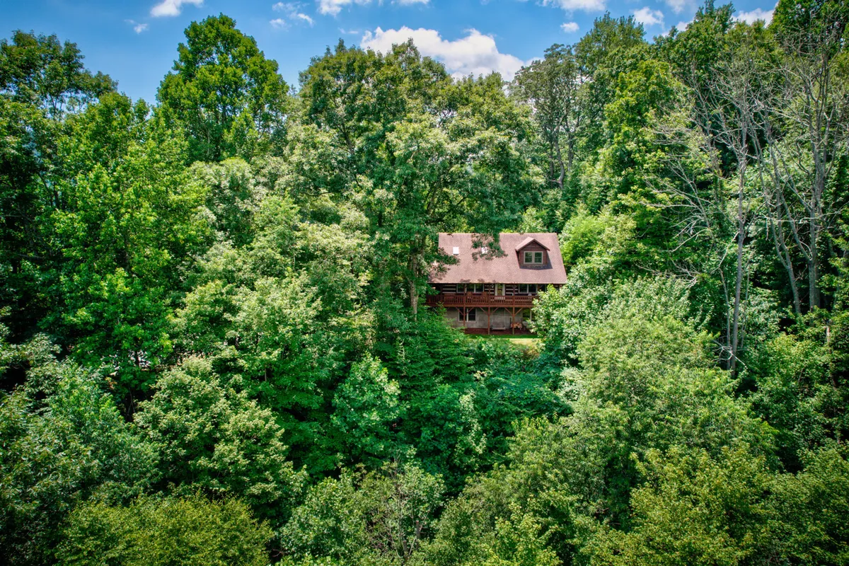A charming wooden cabin nestled among tall, leafy trees beneath a serene blue sky. The setting feels secluded and tranquil—a true base camp for exploring nature.